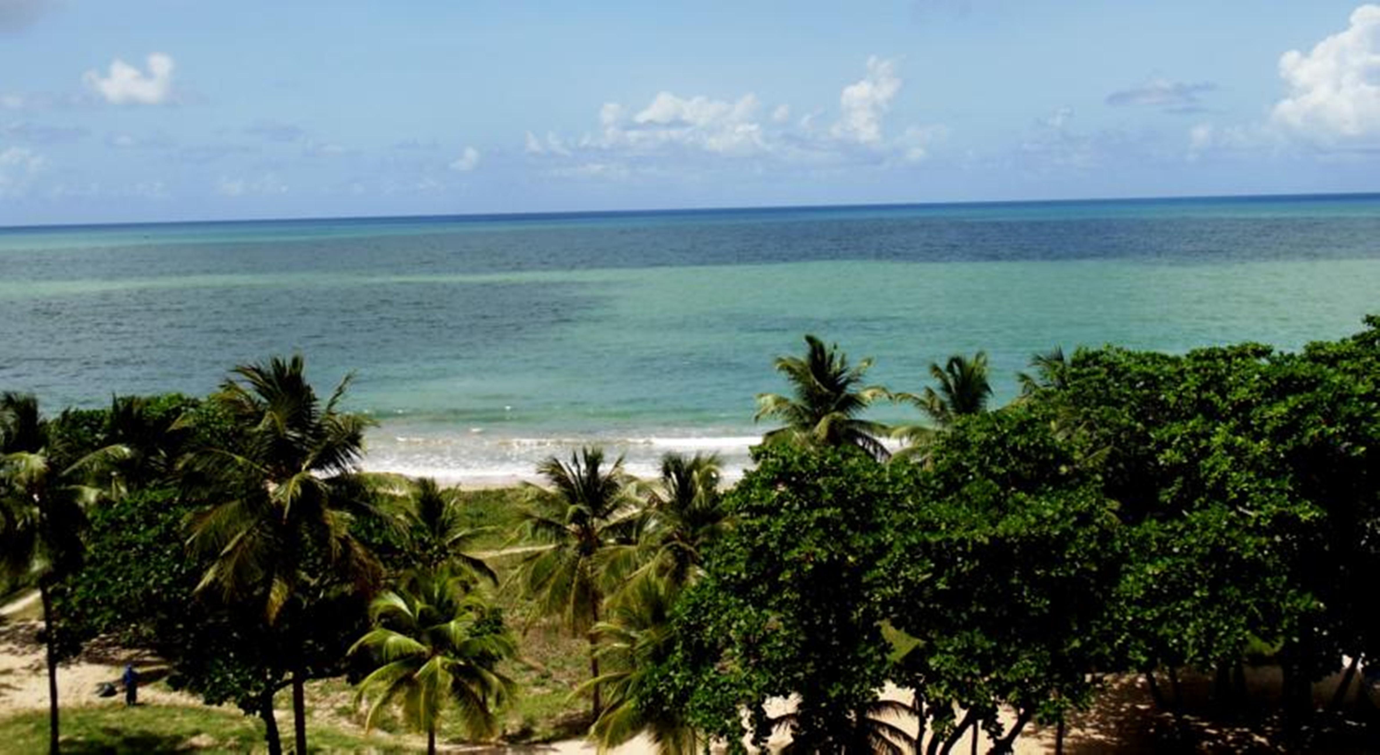 Marante Plaza Hotel Recife Dış mekan fotoğraf